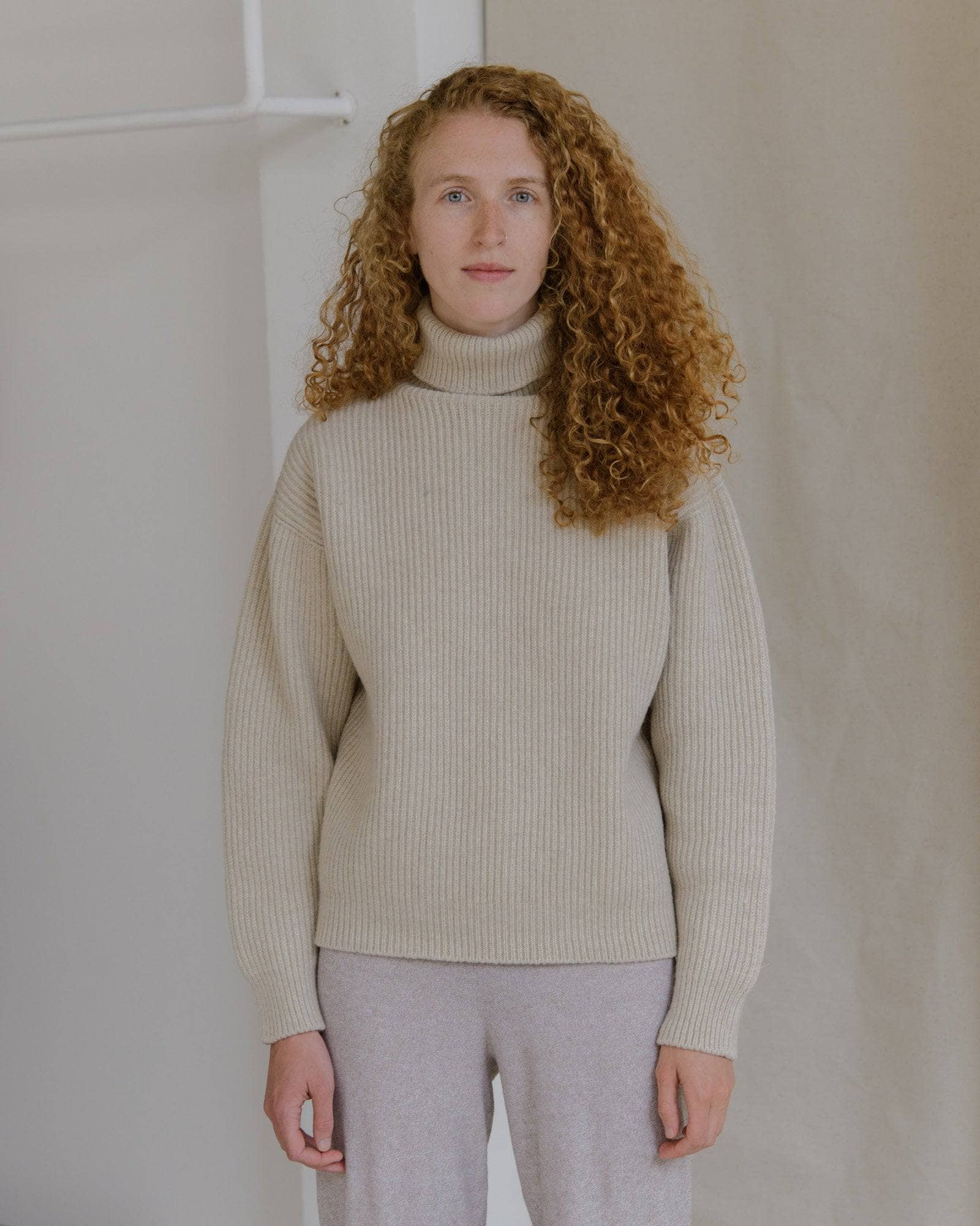 Dodd Turtleneck in Assortment | Arles merino wool | en | Baserange