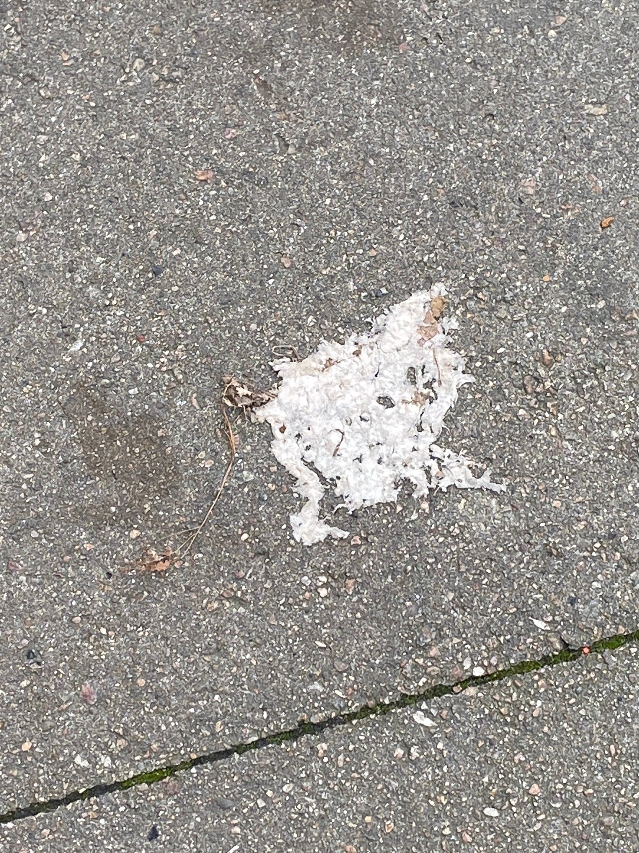 N°14 - Repair Transition Long Sleeve Tee