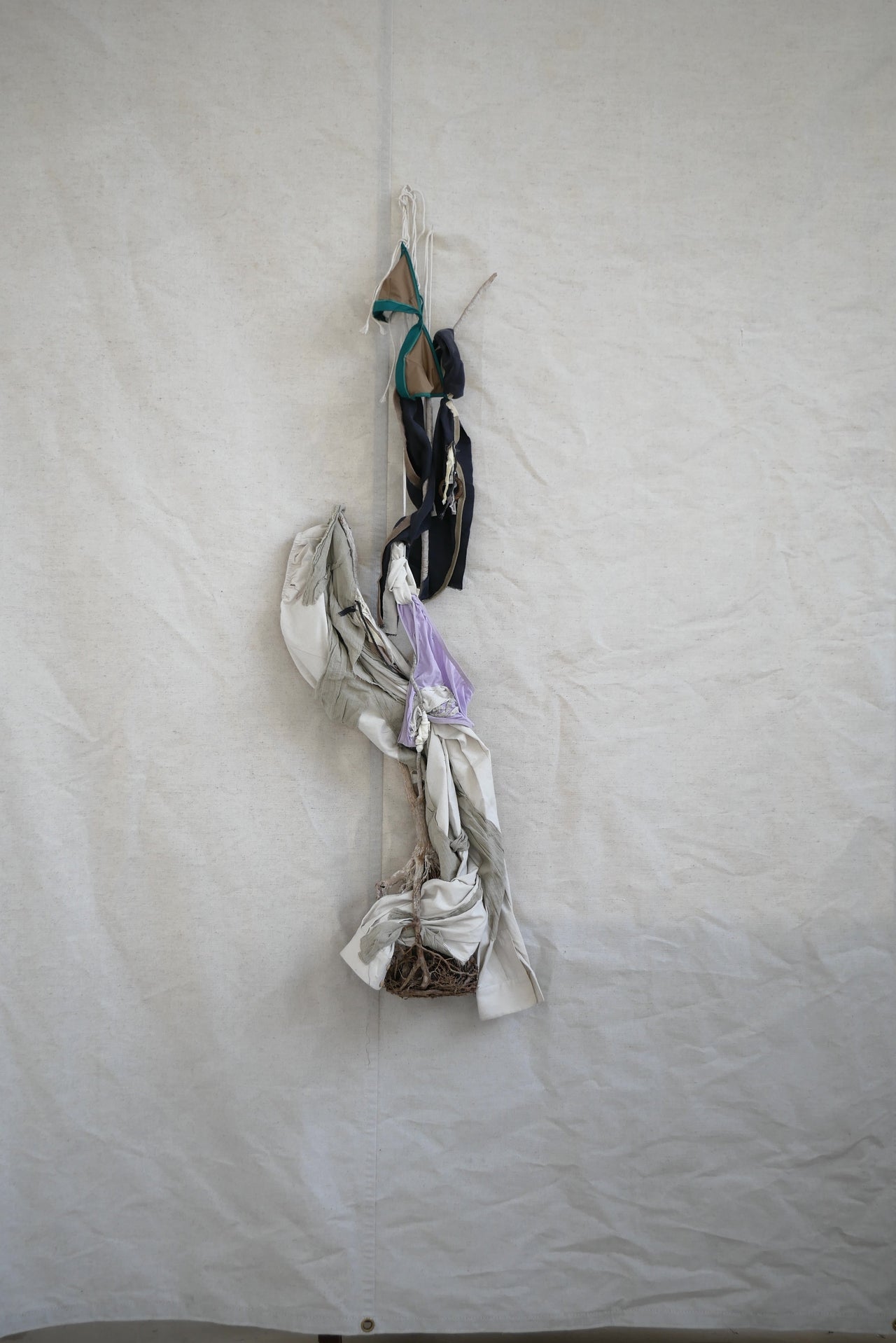 N°13 - Ongoing Process of the Study of Adapting