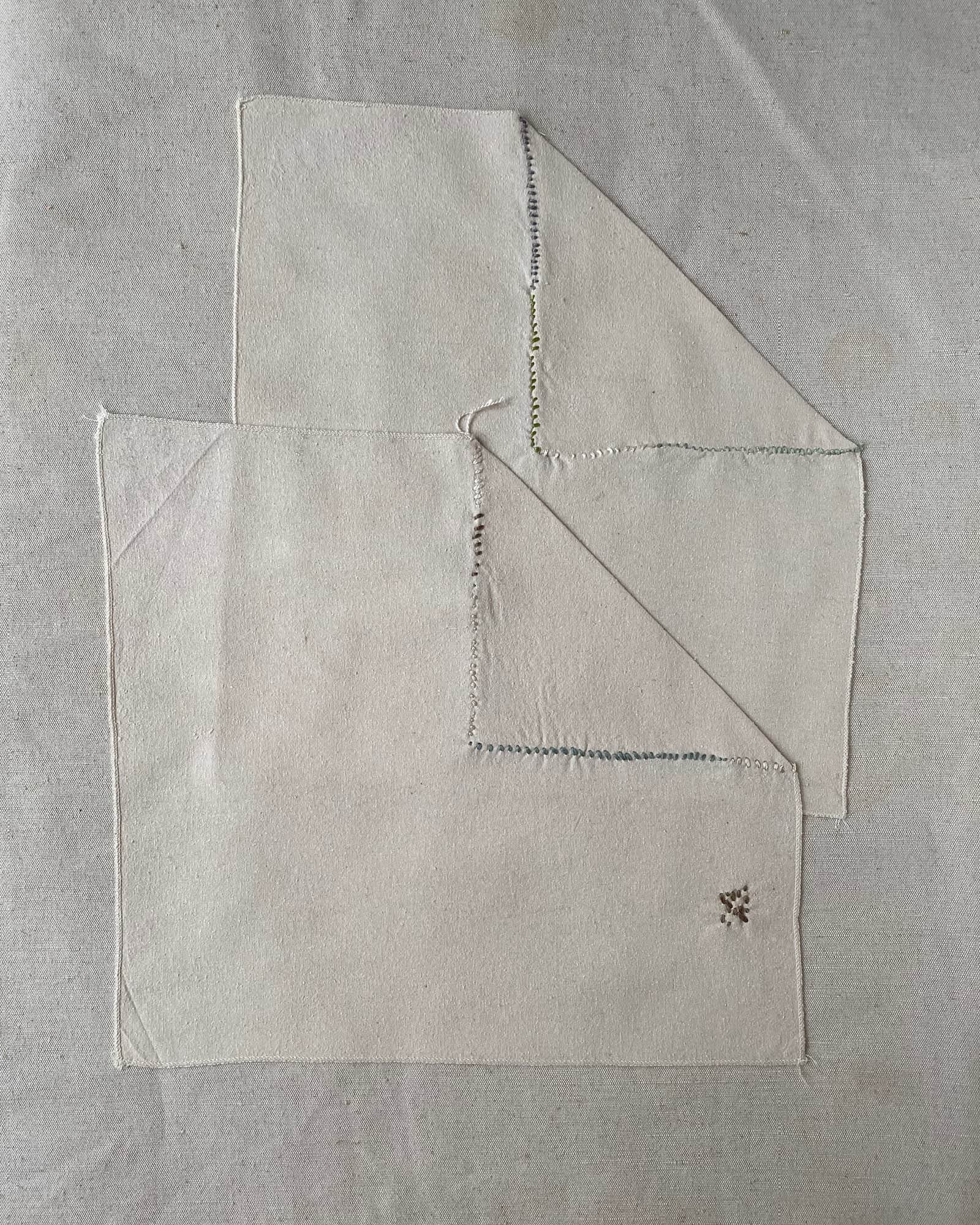 30x33cm Repair - Set of 2 Napkins