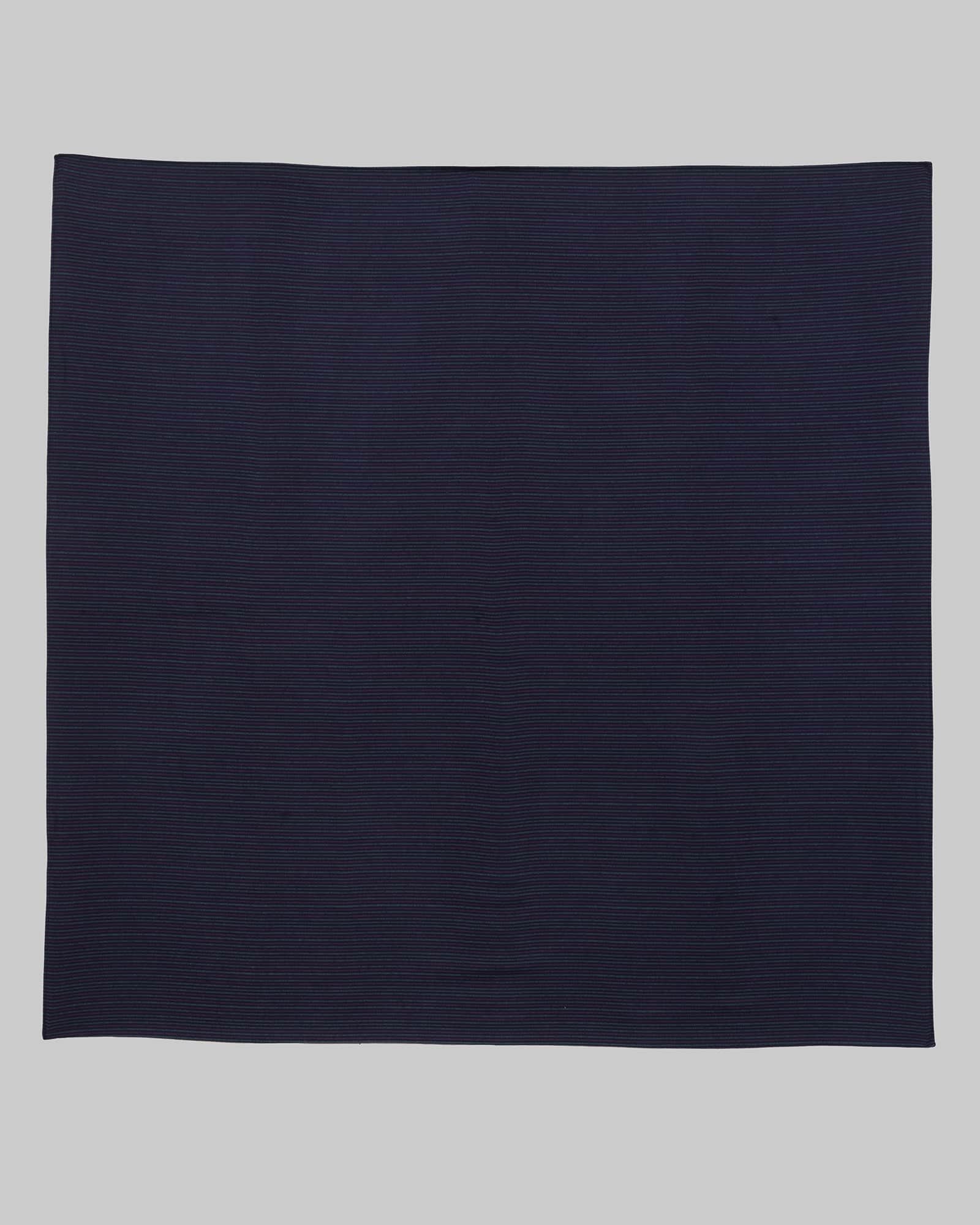 BASERANGE Scarfs PURPLE STRIPE / One Size Snell Scarf