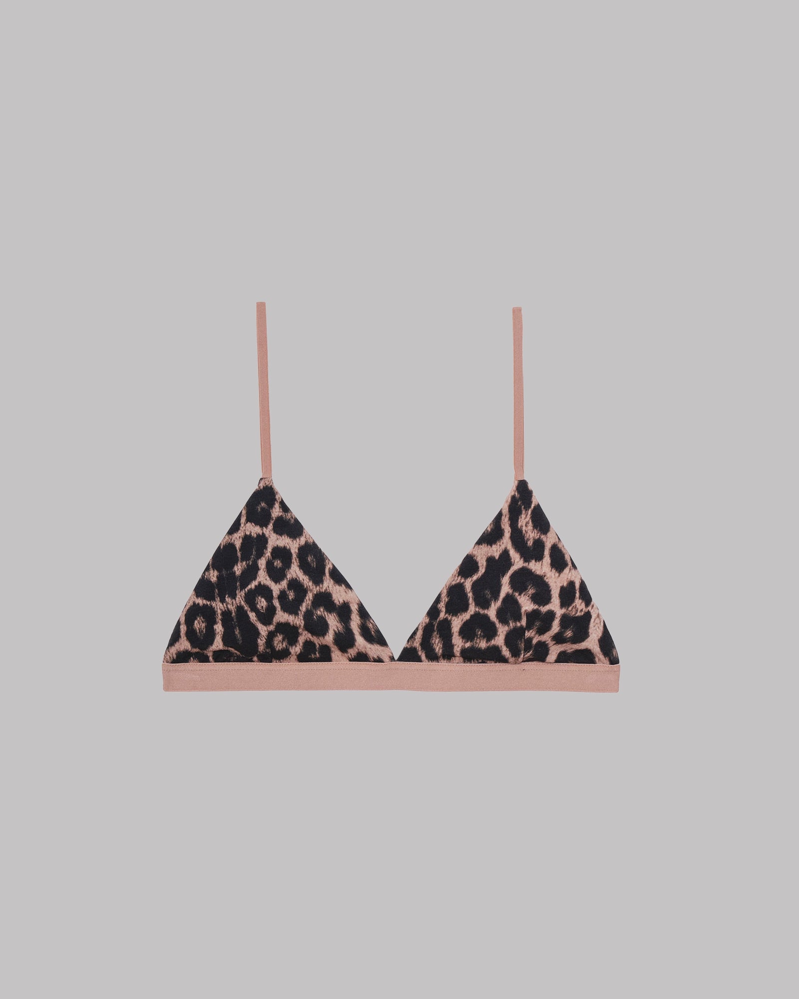 3736d87436d94c80aeb6e102a0c503fb.thumbnail.0000000000.jpg